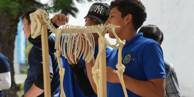 Este 5 y 6 de Junio Regresa el Tianguis de la Ciencia a la UNSNH 