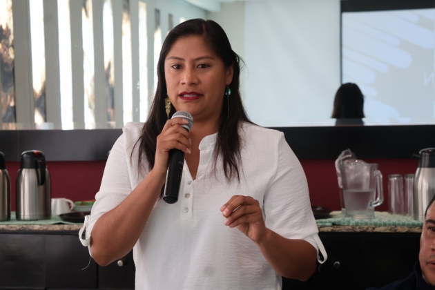 Michoacán necesita seguridad, transparencia y diálogo para construir un futuro con justicia y desarr 