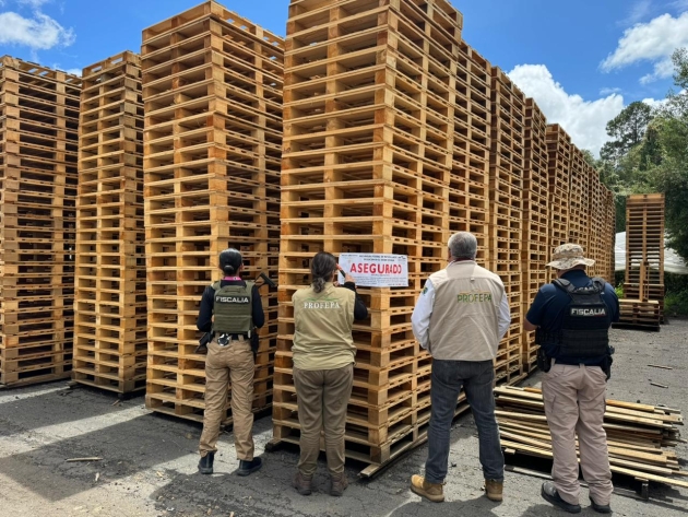 Participa FGE en operativo conjunto que derivó en aseguramiento precautorio de productos forestales en Madero
