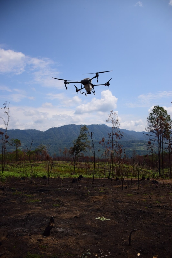 Drones reforestan las zonas más inaccesibles de Michoacán con programa Bio Renace 