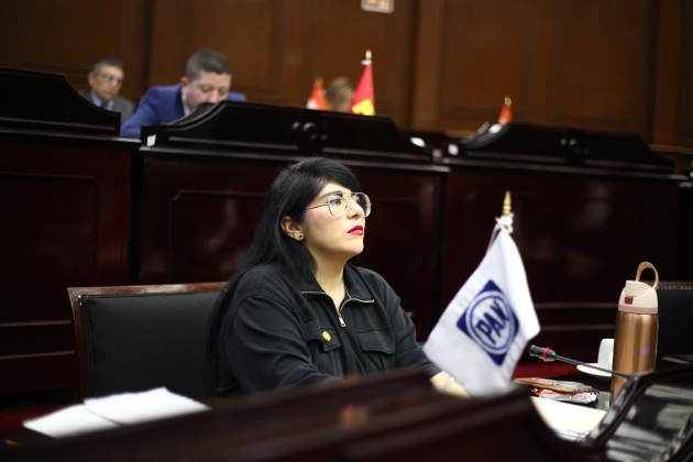 La Dip. Vanhe Caratachea propone una Ley para proteger a Madres Autónomas 