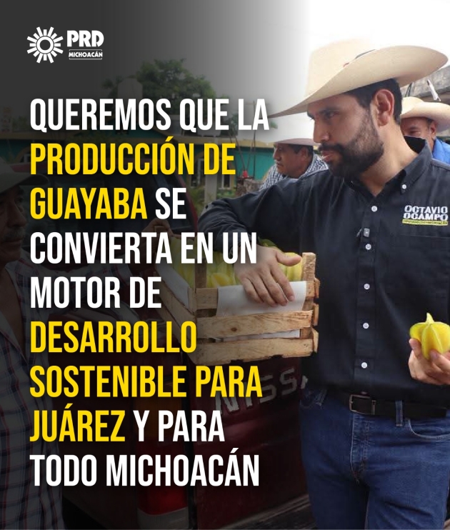 El Dip. Octavio Ocampo se pronuncia pro el Campo Michoacano  
