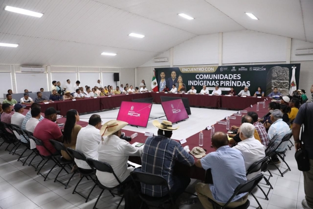 Visibilidad a nuestra comunidad, una promesa cumplida de Ramírez Bedolla: pueblo Pirinda