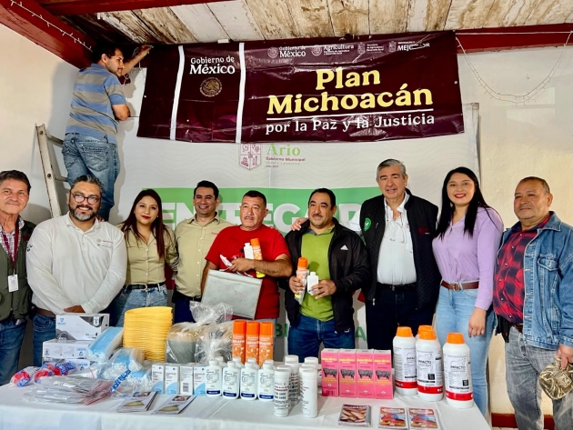 Sader refuerza atención y prevención del gusano barrenador en La Huacana y Ario 