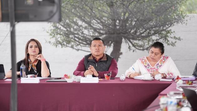 Gladyz Butanda y Torres Piña refuerzan ruta de organización territorial de Morena 