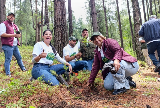 Arranca plantación de 2 mil árboles en área protegida de Los Azufres 