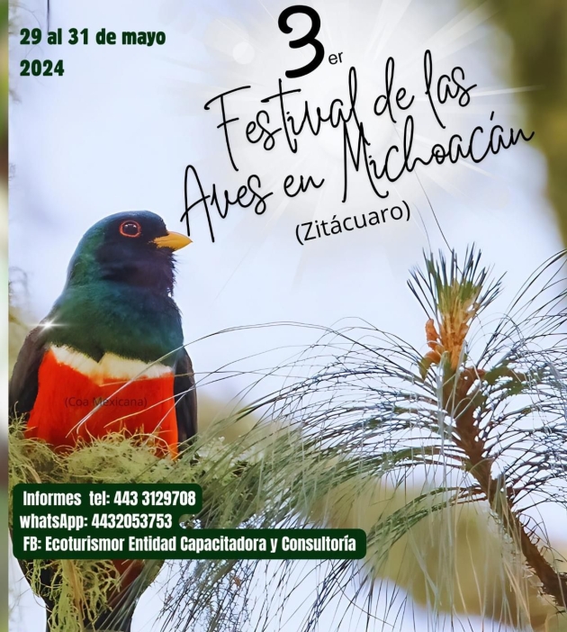 Conoce todo sobre el mundo de las aves en este festival de Zitácuaro 