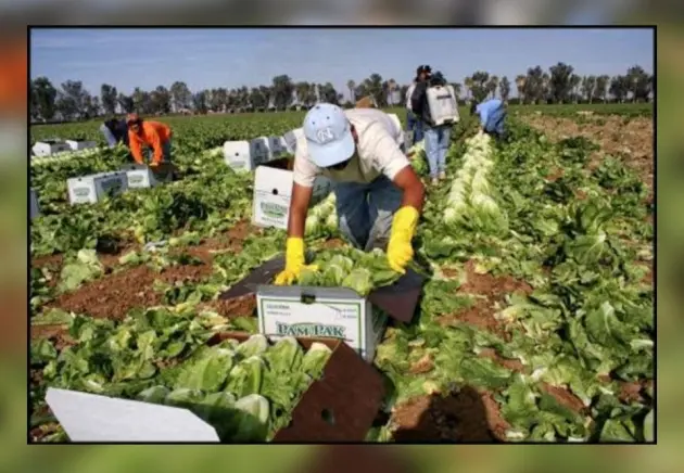 Promueve Semigrante soluciones para una migración laboral regular y segura 