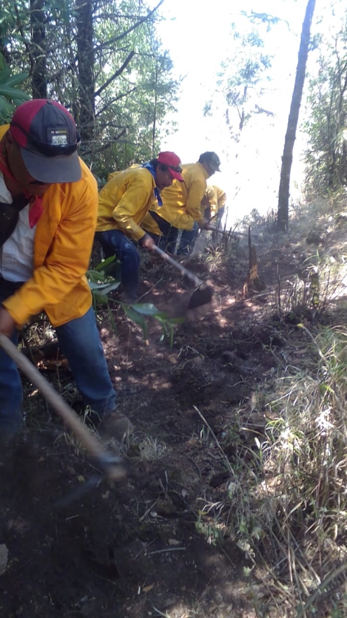 Continúan brigadistas combatiendo incendio forestal en Pátzcuaro 