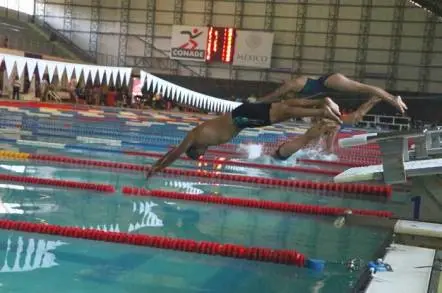 GRAN Ã‰XITO LA 2Âª ETAPA DEL GRAN PRIX MASTER DE NATACIÃ“N 2019