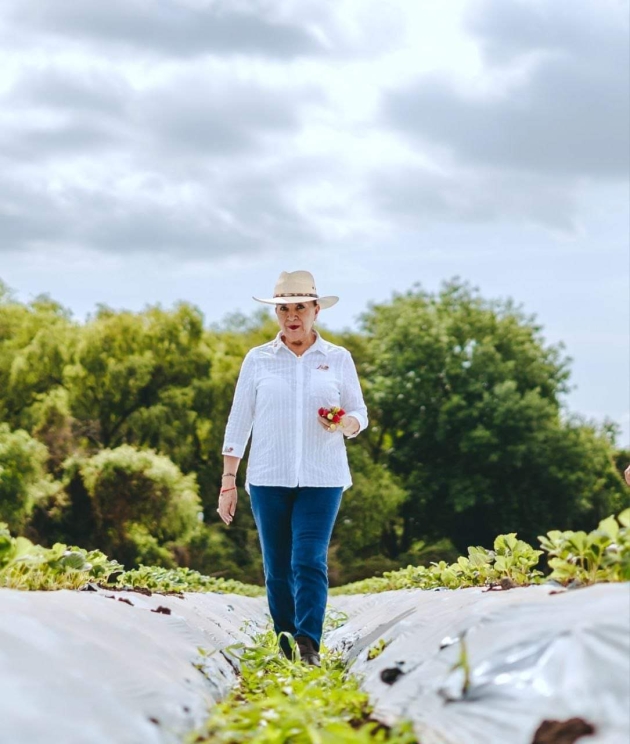 Se precisan acciones efectivas para devolver a Michoacán su vocación forestal: Julieta Gallardo 