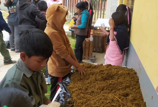 Impulsan en telesecundaria de Nahuatzen producción de hongo seta 