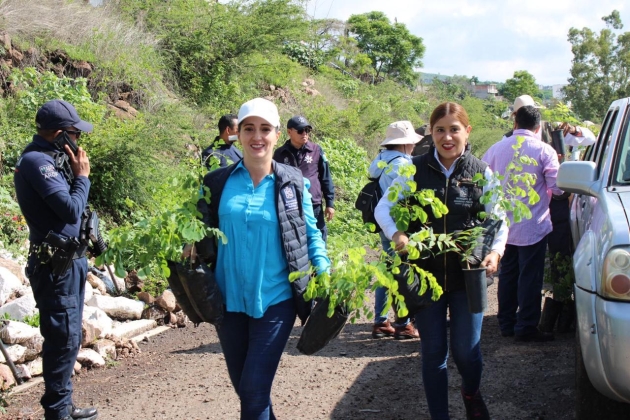 Más de 300 voluntarios reforestan la zona protegida Cerritos del Quinceo 