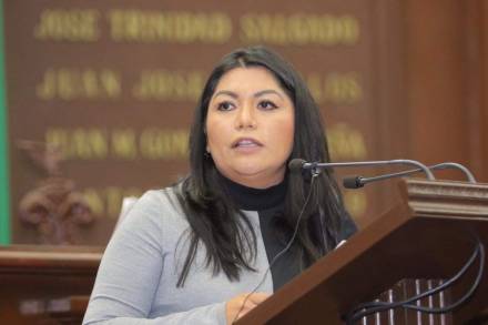 Desafortunada La Declaratoria de la Alerta de Violencia Género no ha funcionado en Michoacán: Brenda Fraga