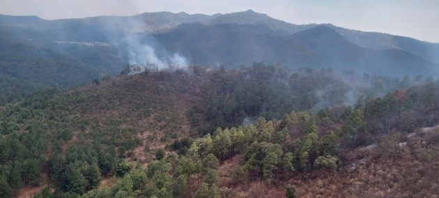 Helicóptero con helibalde combate incendio forestal en Zinapécuaro 