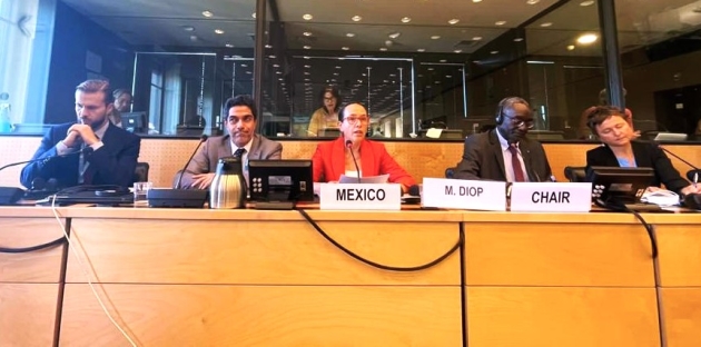 Concluye diálogo constructivo del Estado mexicano con el Comité contra la Desaparición Forzada 