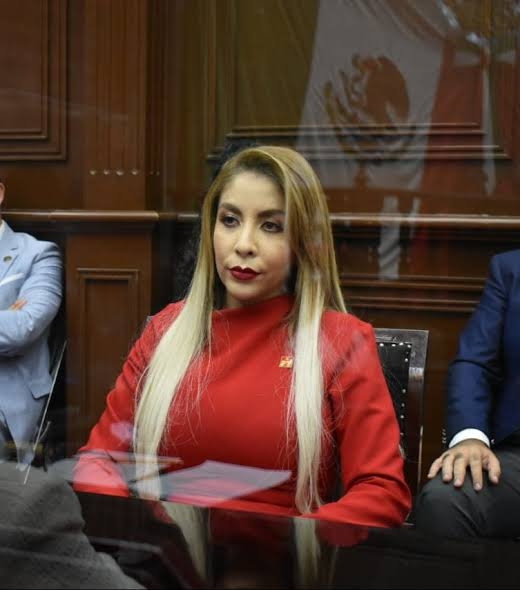 Realiza Belinda Hurtado Foros para combatir el Bullyng y promover derechos de la niñez 