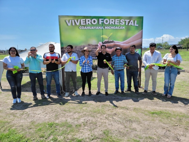 Impulsa Partido Verde creación de vivero en Coahuayana 