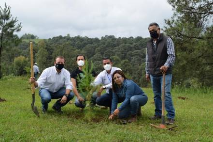    Con la plantación de 17 millones de árboles se concluyó la Campaña Social de Reforestación en Michoacán.