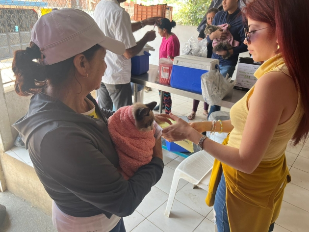 Mantiene SSM vacunación antirrábica para perros y gatos en Uruapan  