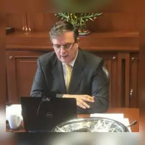 El canciller Marcelo Ebrard llama al G20 a construir una respuesta colectiva y solidaria ante la pandemia de COVID-19