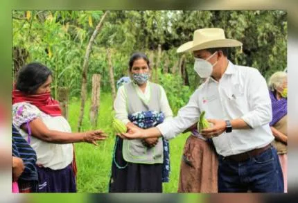 Nuestra Agricultura Sustentable impactó en 80 municipios de Michoacán : SEDRUA 
