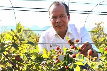 Con casi 96 mmdp, Michoacán es líder nacional en valor de Producción Agrícola 