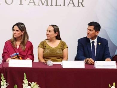 Familias de Acogimiento, importantes para garantizar el sano desarrollo de niños y adolescentes: 75 Legislaturaï»¿ 