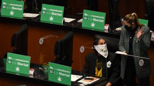 Senado en México aprobó la regulación y despenalización del uso lúdico de la marihuana en todo el país