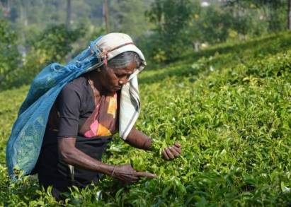 La Desigualdad de Género en la Alimentación y la Agricultura cuestan al Mundo, hay que Combatirla: ONU