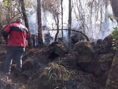 Atienden dependencias de los tres niveles de gobierno incendios en Michoacán