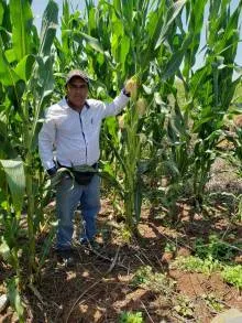 Agricultura Sustentable, la gran revolución del campo michoacano