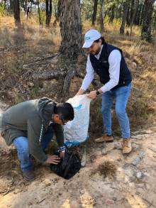 COFOM y ciudadanía, por el rescate y conservación de los bosques