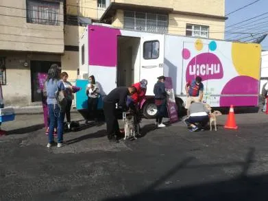 Más de 6 mil felinos y caninos fueron esterilizados en lo que va del año: SSM