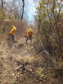 Disminuye el riesgo de incendios en Michoacán  