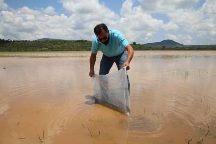 El Gobierno de Morelia promueve su desarrollo rural al sembrar 57 mil carpas en Teremendo de Los Reyes 