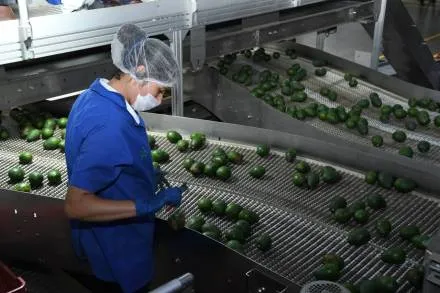 Michoacán recupera empleos formales perdidos durante la pandemia 