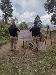 En cateo, asegura FGE predio relacionado en Delitos contra el Ambiente en el municipio de Madero 