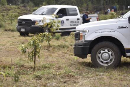 FGE acciones para hacer frente al cambio de uso de suelo para plantación de Aguacate 