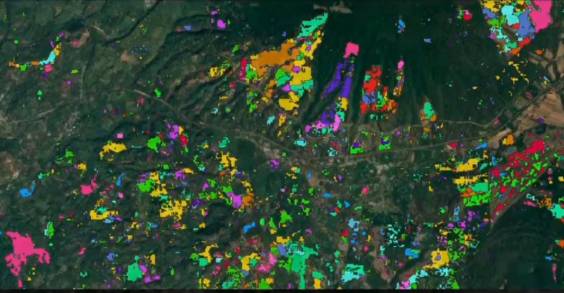 Se Impulsa Sistema de Vigilancia Satelital para la protección de 6 millones de hectáreas verdes en Michoacán  