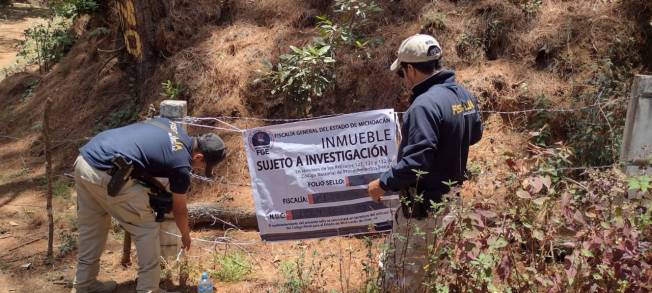 En cateo, asegura FGE predio relacionado en delitos contra el ambiente con fines de Plantación de Aguacate  