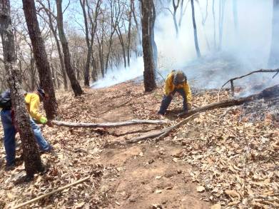  Refuerza Gobierno de Michoacán acciones para atender Incendios Forestales 