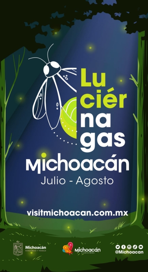 Llegó la Temporada de Avistamiento de Luciérnagas SECTUR Michoacán  