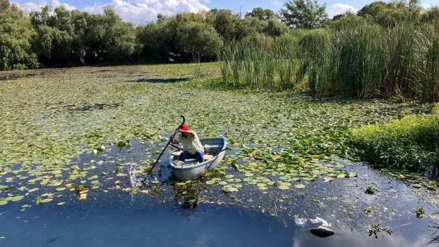 Proteger 133 áreas naturales preservará 14 mil especies de flora y fauna: SECMA 