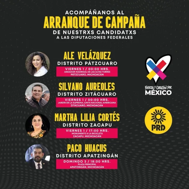 Con la Revolución Amarilla del PRD, vamos por el triunfo en diputaciones federales  