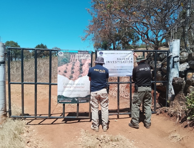 Cumplimenta FGE orden de cateo y asegura  predio relacionado en delitos contra el ambiente 