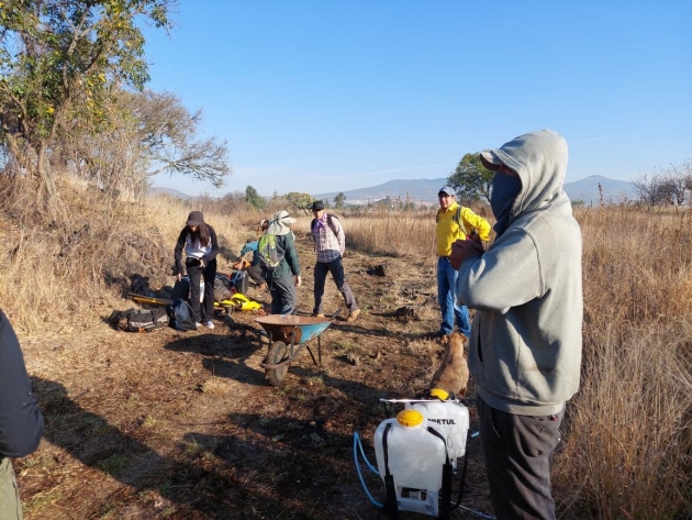 Secma lanza convocatoria para el Premio al Mérito Ambiental Michoacán 2024 