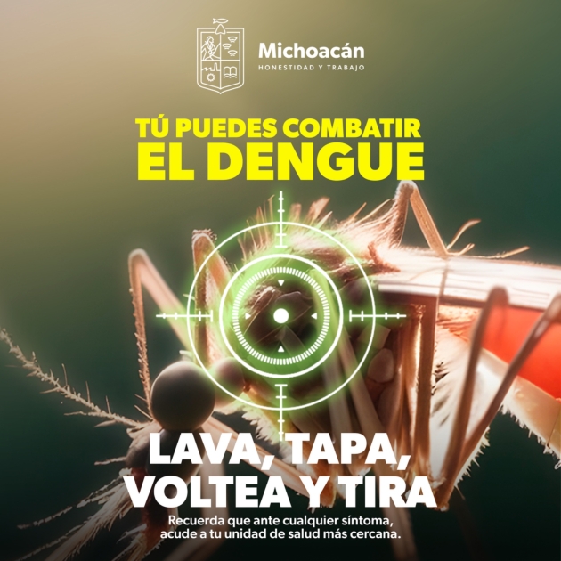¡Aguas con el dengue! Estos factores favorecen su desarrollo en el hogar 