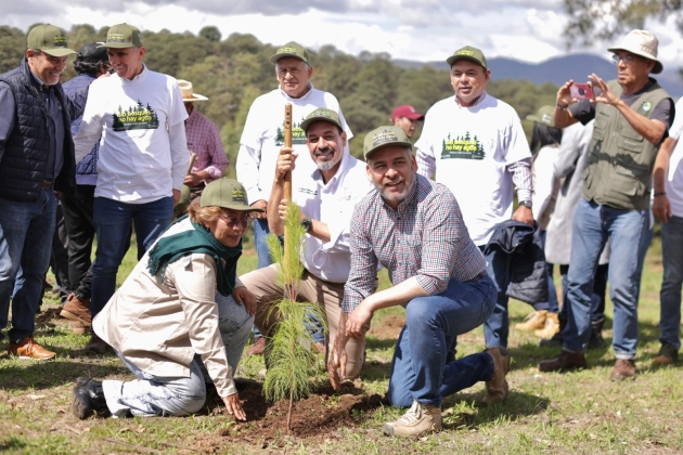¡Todos, manos a los árboles! Alfredo Ramírez Bedolla arranca Reforestación Estatal  