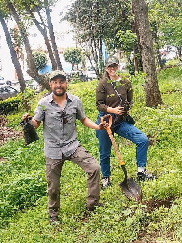 Gobierno estatal reforesta el Parque Francisco Zarco, en Morelia 